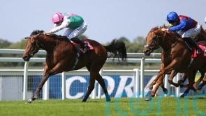 Starlore team harbouring high hopes after Sandown success