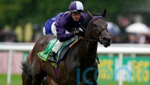 Ffrench Davis planning Group One goal for Persian Dreamer