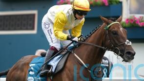 York Stakes option for Ebor hopeful Kihavah