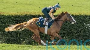 Meade team considering York Stakes date for Dubai Mile