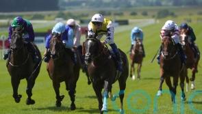 Dods favouring Curragh contest for Commanche Falls