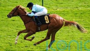 Soprano aiming to hit high note in Star Stakes