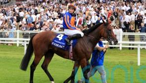 O&rsquo;Brien taken aback by speed of Paddington&rsquo;s improvement