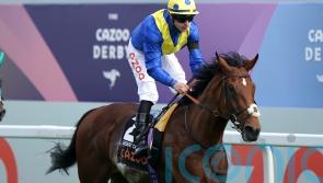 Leg infection scuppers Desert Crown&rsquo;s King George challenge