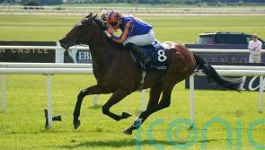 Paddington the star attraction among Sussex confirmations