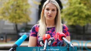 Helen McEntee will meet with assaulted US tourist&rsquo;s family if they wish