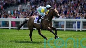 Sacred Angel makes all for Princess Margaret crown