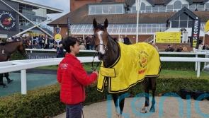 Grand Alliance to step up in trip on advice of Ryan Moore