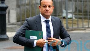 No plans for early general election, Varadkar insists