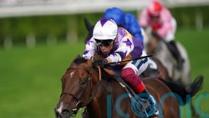 Kinross returns to ideal distance in search of Lennox repeat