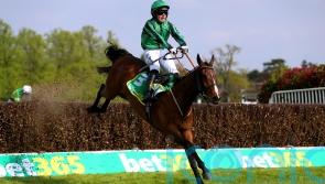 Hanlon outlines going concerns for Galway Plate champion Hewick