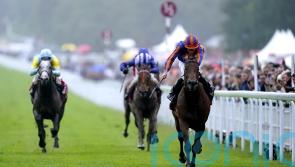 Paddington has all the answers in Sussex Stakes