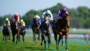 Little Big Bear added to Maurice de Gheest line-up