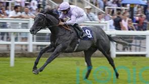 Hills expecting Orazio to make his mark in Stewards&rsquo; Cup