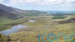 We are interested in buying Conor Pass for a reasonable price, Taoiseach says