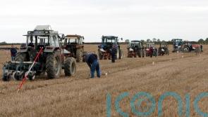 Two new farming apprenticeships &lsquo;aim to help labour shortages in agri sector&rsquo;