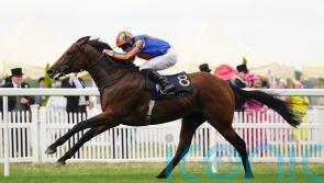 Jumps legend Maguire rates Paddington as &lsquo;best I&rsquo;ve ever ridden&rsquo;