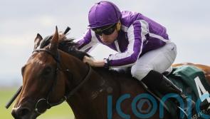 &lsquo;Different class&rsquo; Little Big Bear retired following injury