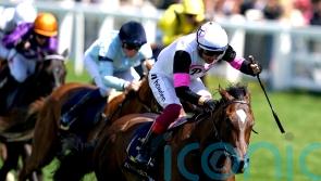 O&rsquo;Brien backing Porta Fortuna to make Phoenix impact