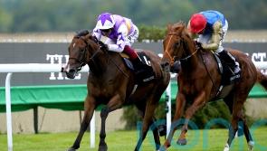 Beckett has Kinross and Bluestocking primed for York action