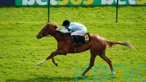 Soprano tries seven furlongs again in Sweet Solera Stakes