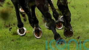 Simca Mille stakes Arc claim with German Group One glory