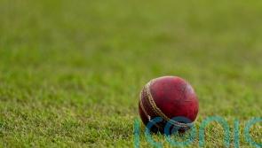 Man charged over alleged racial abuse at cricket match