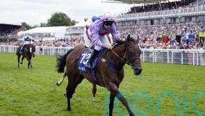 Goodwood winner Temporize being pointed towards Cesarewitch goal