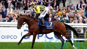 Varian considering route to Irish St Leger with Eldar Eldarov
