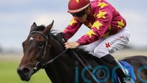 Al Riffa tackles Ace Impact in Deauville highlight