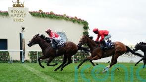 Ascot hero Bradsell ready for Nunthorpe challenge