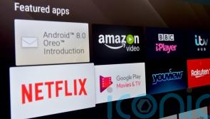 REVEALED: Popular brands for youngsters