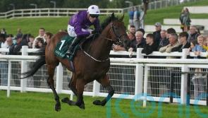 Phoenix hero Bucanero Fuerte set for National service