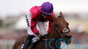 Osborne to retain Scampi ride in Ebor assignment