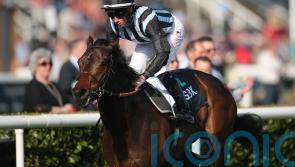 Chindit leads Hannon charge in Hungerford Stakes