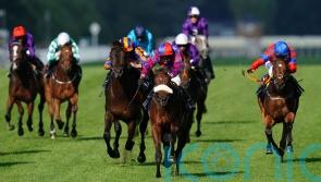 Big Evs supplemented for Nunthorpe challenge