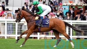 Haynes seeking Round Tower boost for Asadna