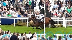 Sophia&rsquo;s Starlight connections happy to see filly fulfilling her promise