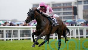 Sweet William backers guaranteed Ebor run