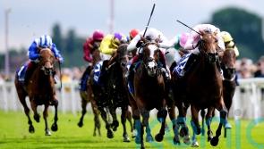 Frankie left to rue York near-miss with Free Wind