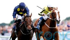 Sea Theme hints at bright future with Galtres Strike