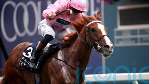 Live In The Dream bliztes Nunthorpe rivals for fairytale triumph