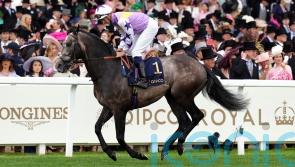 Angel Bleu sparks dream day for Beckett