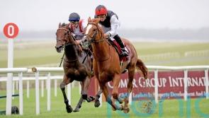 So far so good for return to action of Kyprios in Irish Leger