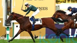 Feed The Flame to limber up for Arc challenge in Prix Niel