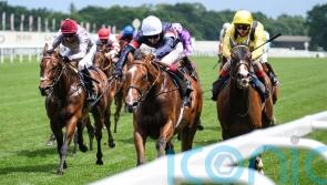 Sir Busker could make Superior comeback at Haydock