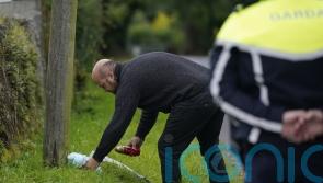 Grandparents and grandson killed in Co Tipperary crash named by gardai
