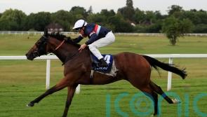 Curragh contest awaits for Equality after Nunthorpe run