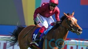 Connections of Soul Sister call time on this year&rsquo;s campaign