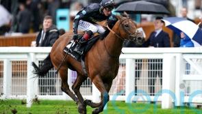 Tis Marvellous bids to bow out with Bullet hat-trick